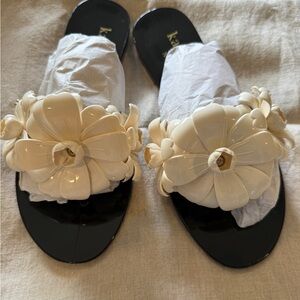 NWT Kate Spade Jaylee Black and Cream Floral Shoes